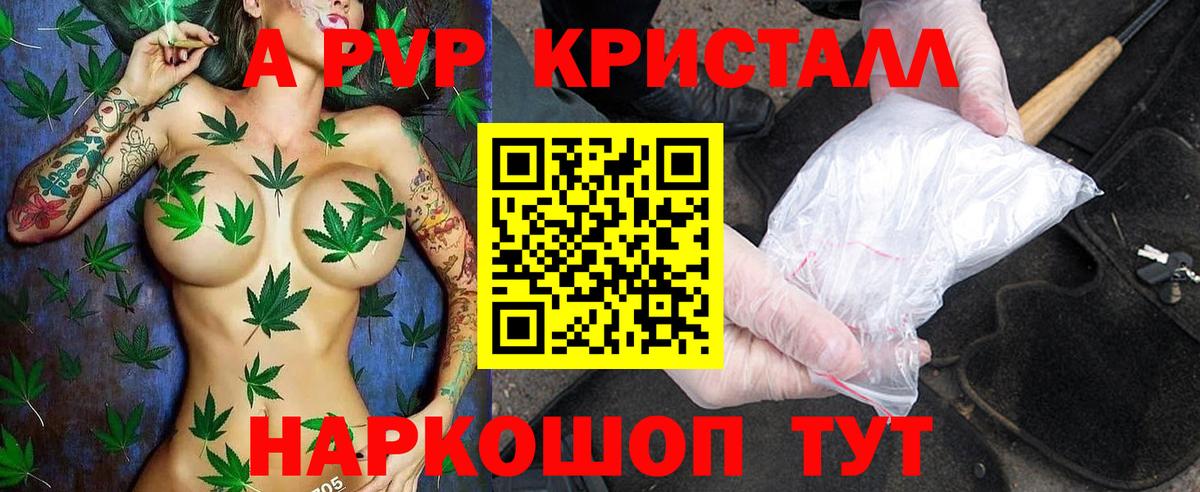 A-PVP крисы CK Магадан