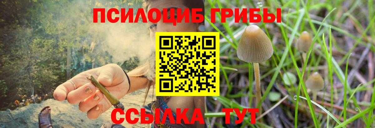 Псилоцибиновые грибы GOLDEN TEACHER Магадан